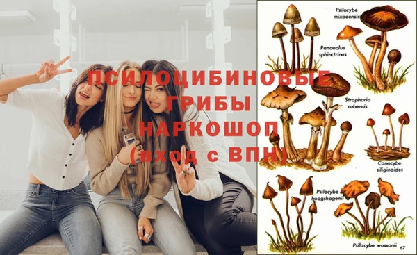 гидропоника Красноперекопск