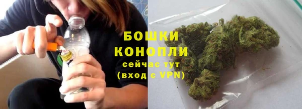 ГАЛЛЮЦИНОГЕННЫЕ ГРИБЫ Кулебаки